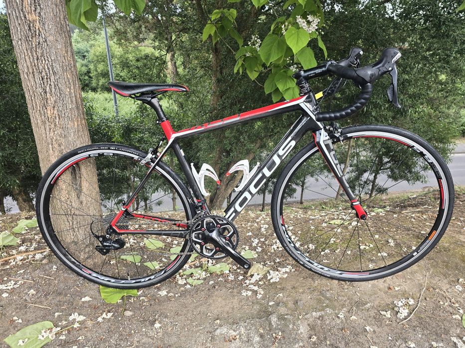 Focus cayo carbono 11x2v