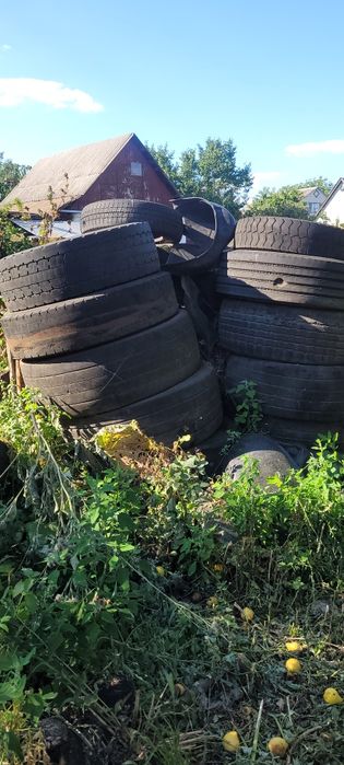Одам бесплатно шини
