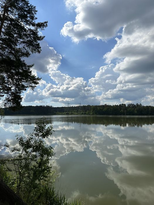 Продаж земельна ділянка 12 соток Бучанське водосховище (1 хвилина до берегу!)