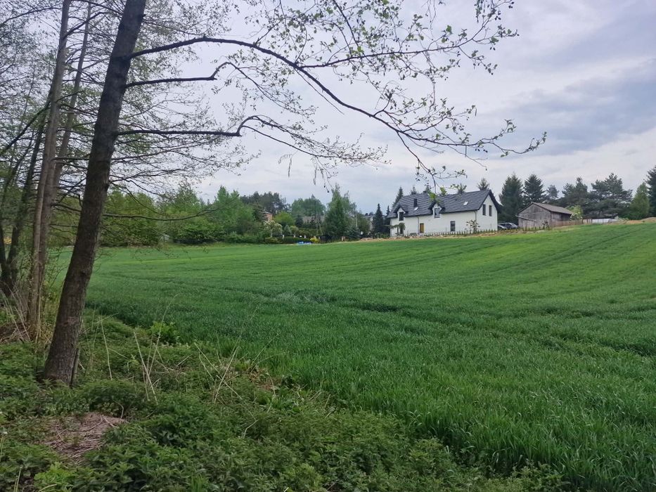 Sprzedam działkę rolno-budowlaną.