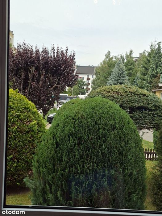 Jasne przytulne mieszkanie, obszerny balkon i duża piwnica w cenie.