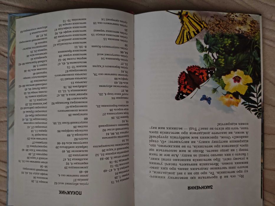 Метелики Шкільний путівник