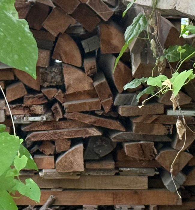 Sprzedam drzewo opałowe