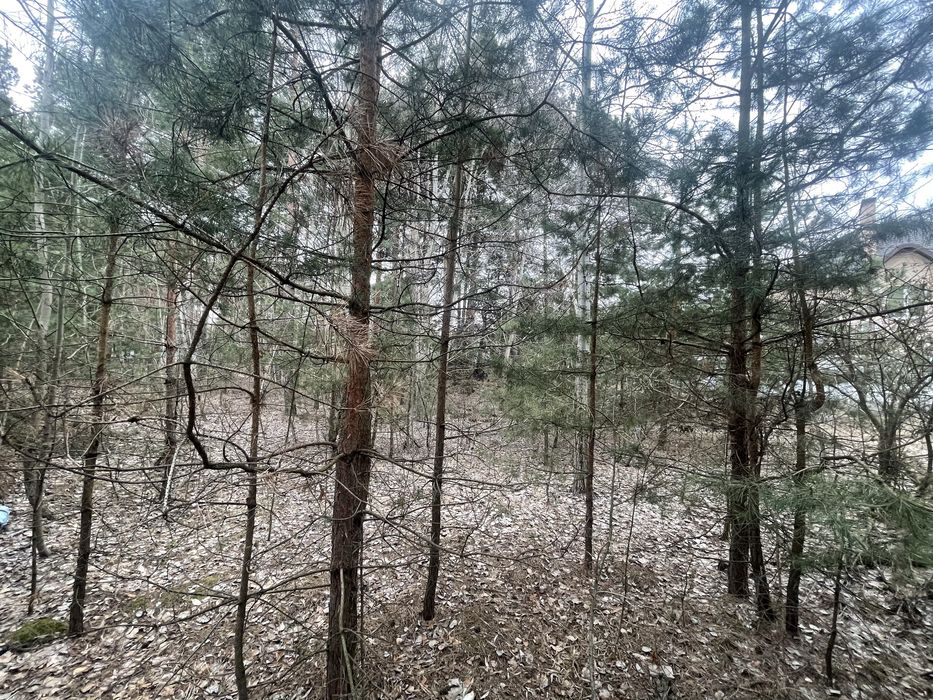 Рожівка будинок в КМ Лісове озеро