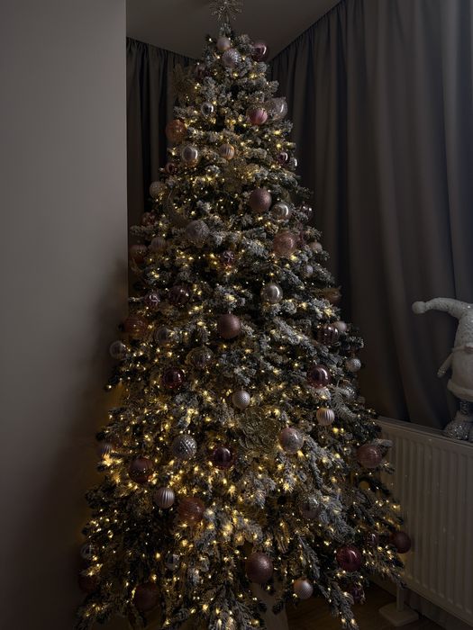 Лита Ковалівська ялинка