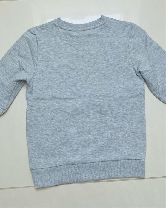 Bluza szara z dinozaurami r. 134
