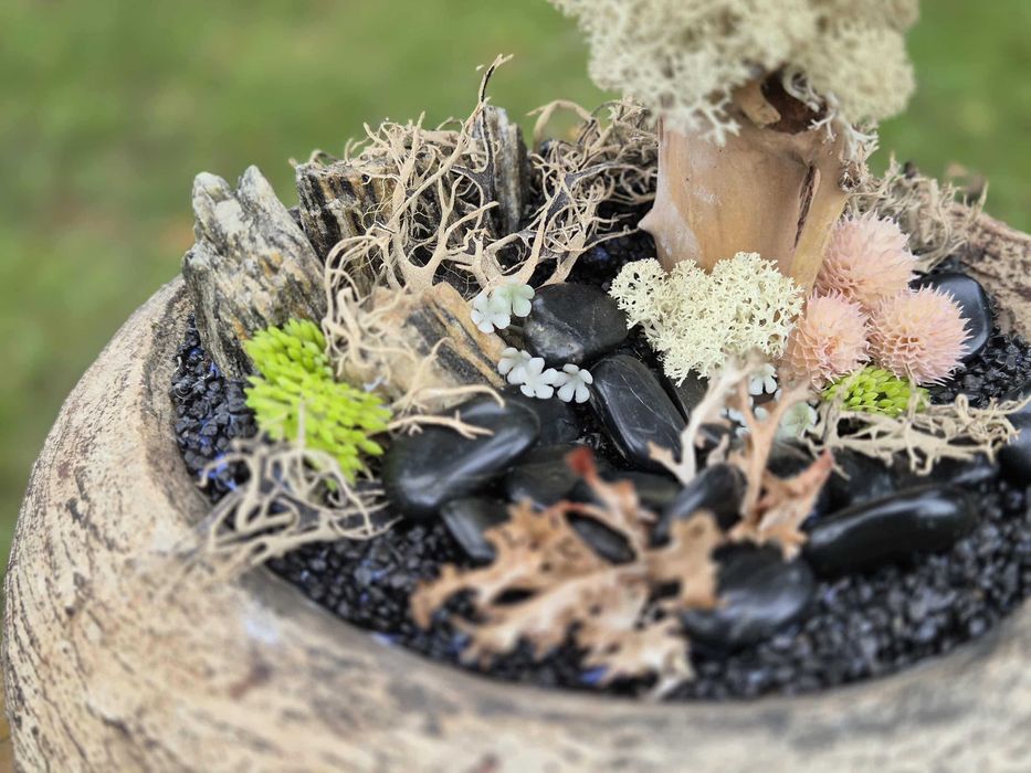 Drzewo XXL Bonsai Mech Chrobotek Dekoracja Długowieczne Dom Prezent