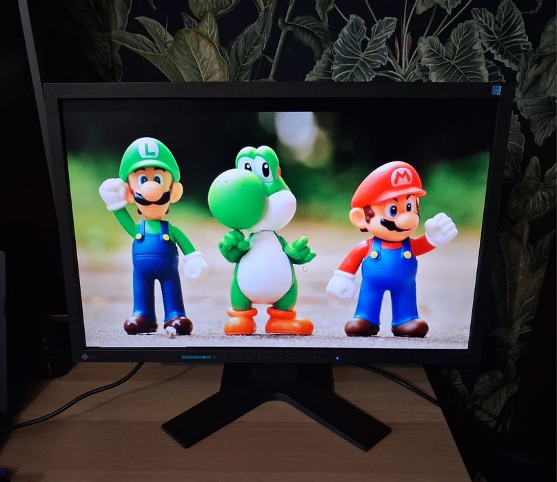 Monitor EIZO 22 cale Made in Japan