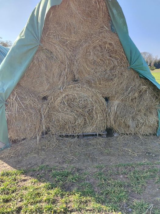 Sprzedam siano pierwszy i drugi pokos