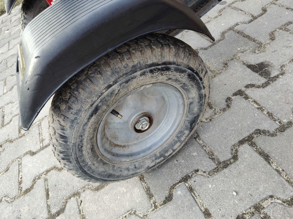 Kokard w dobrym stanie