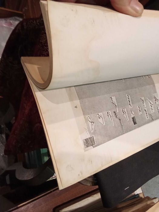 Política e Justiça - Doutor António Luiz Gomes