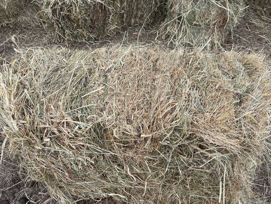 Сіно лугове 16.5 кг