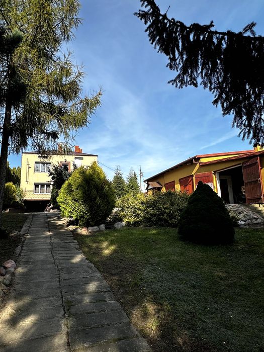 Siedlisko z domem, zabudowaniami i 0,8 ha ziemi - Czerwińsk nad Wisłą (możliwość dokupienia dodatkowej ziemi rolnej 0,97ha) - Widok 4