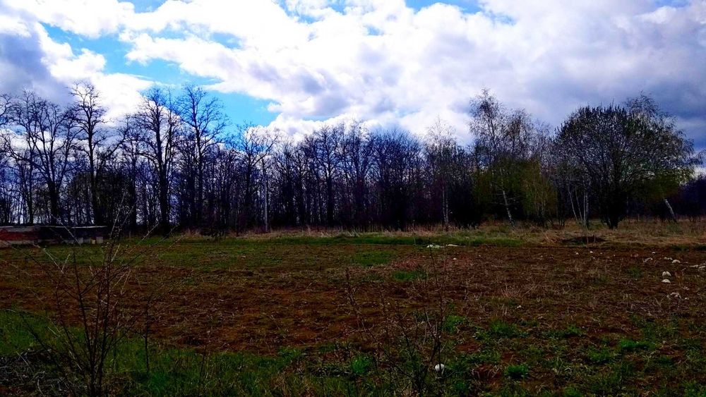 TO Земельна ділянка під будівництво у передмісті Чернігова