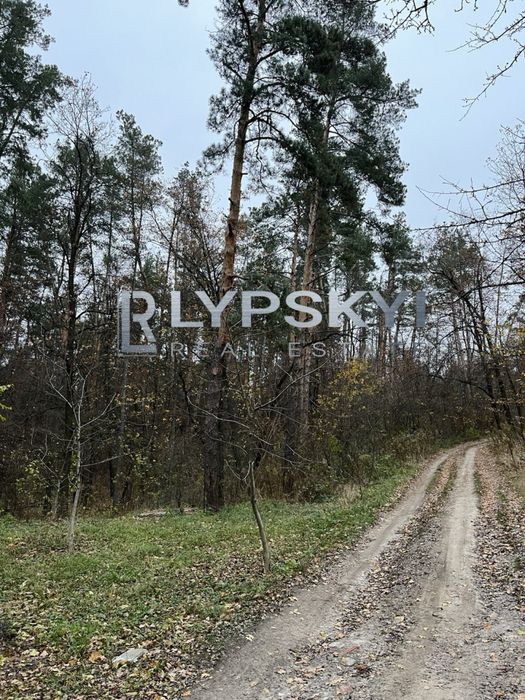 Ділянка в гарній локації біля лісу