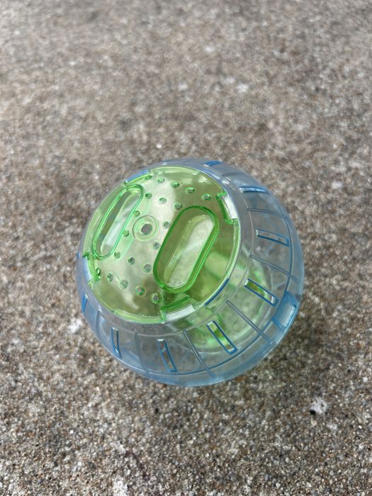kit completo para hamster
