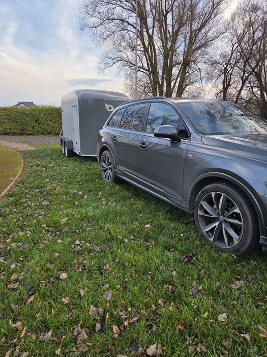 Przyczepa towarowa na wynajem DEBON CHEVAL LIBERTE do przeprowadzki