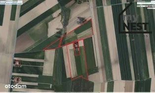 Grunt rolny Dąbie 40, Gmina Łęczyca, BEZPOŚREDNIO