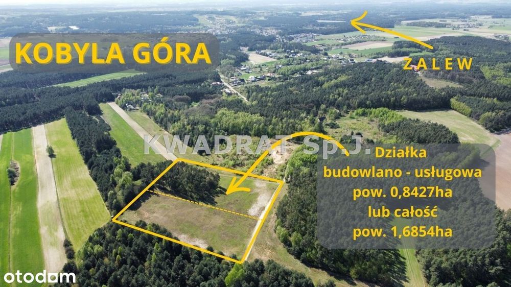 Piękna, duża działka z lasem – Kobyla Góra!!!