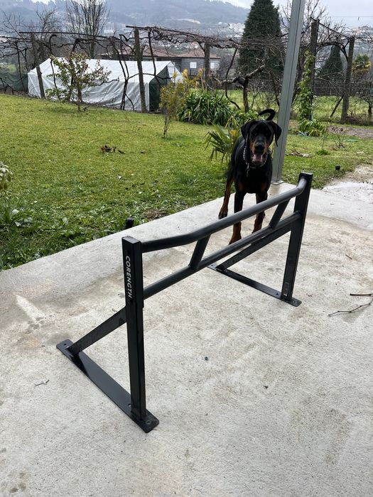 Barra paralela baixa/rail de treino corength