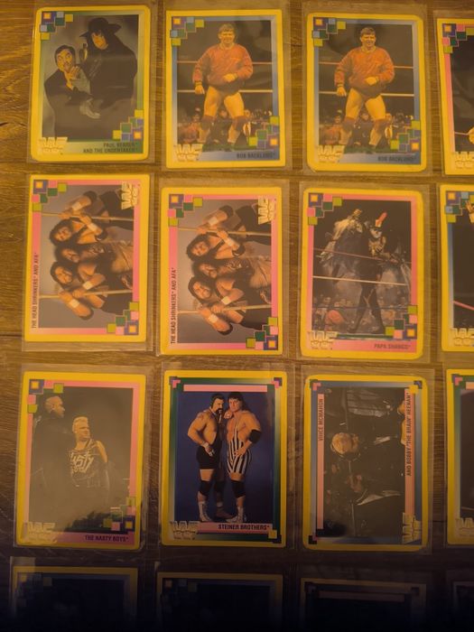 Karty WWF Wrestling Merlin z 1993