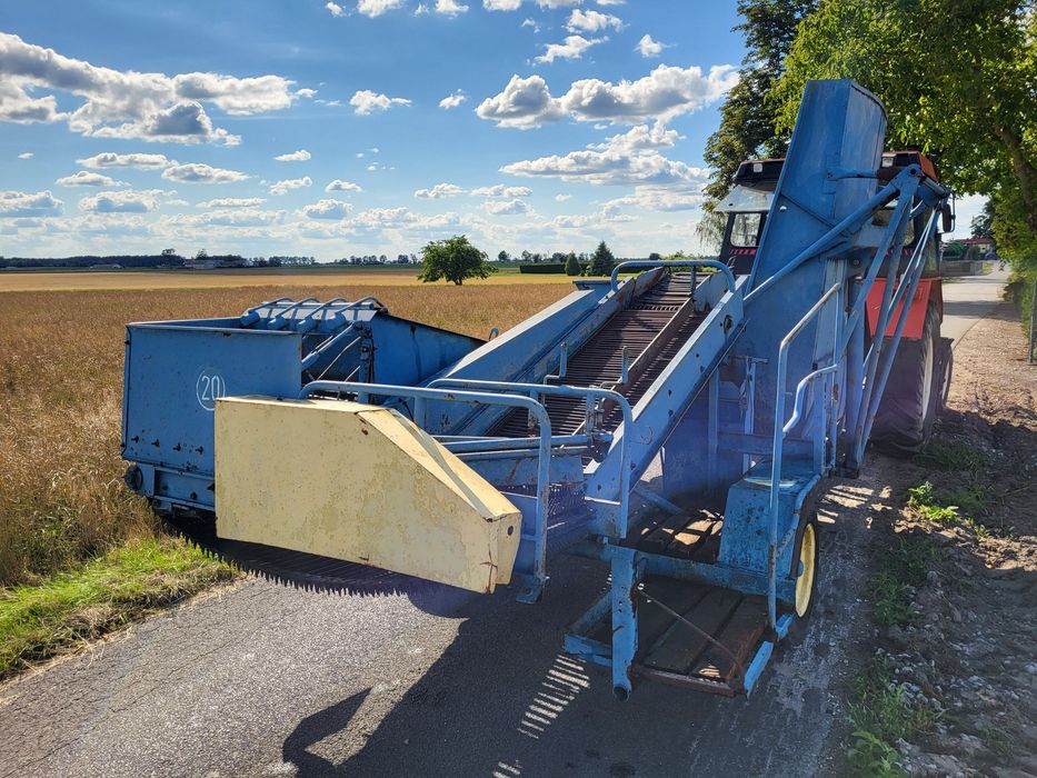 Kombajn zbieracz do ziemniaków cebuli Bolko Z 643 Anna zbieraczka   Bolek
