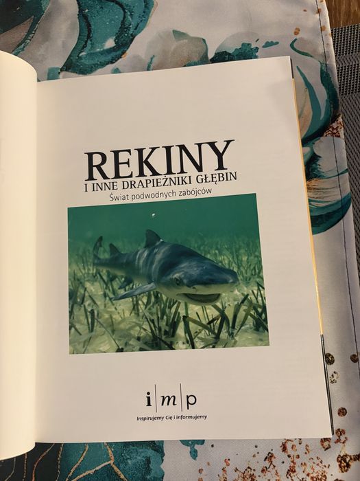 Książka Rekiny i inne drapieżniki głębin