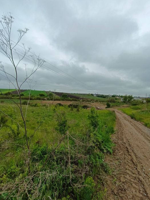 Земельна ділянка  біля готельно ресторанного комплексу Швейцарія.