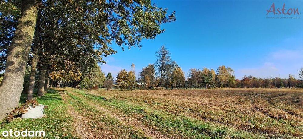 Działka budowlana-wydane warunki zabudowy
