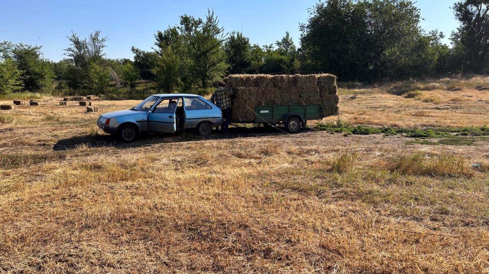 Сено-Сіно лугове и люцерка в тюках.