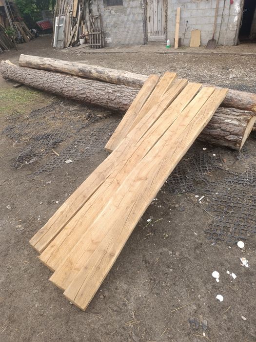 Baliki modrzewiowe, sosnowe, brzozowe