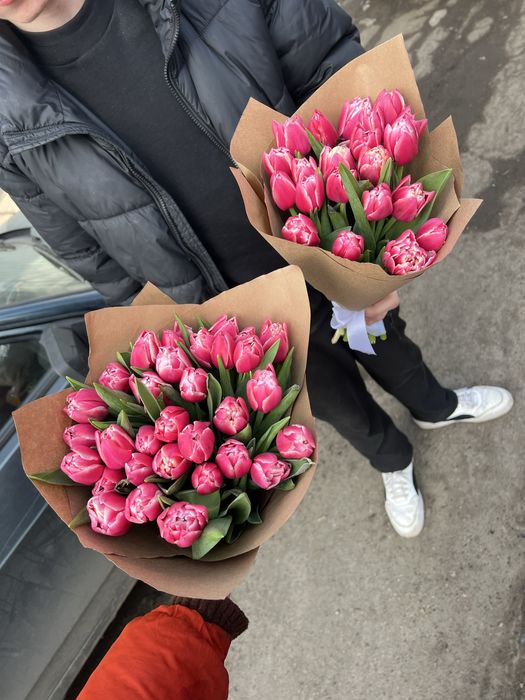 Тюльпан Український гурт роздріб