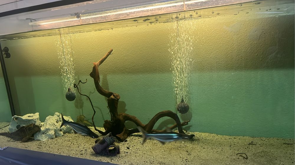 Aquario 150cm com equipamentos