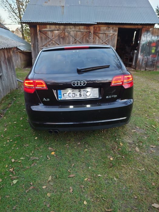 Audi A3 8P 2.0 TDI