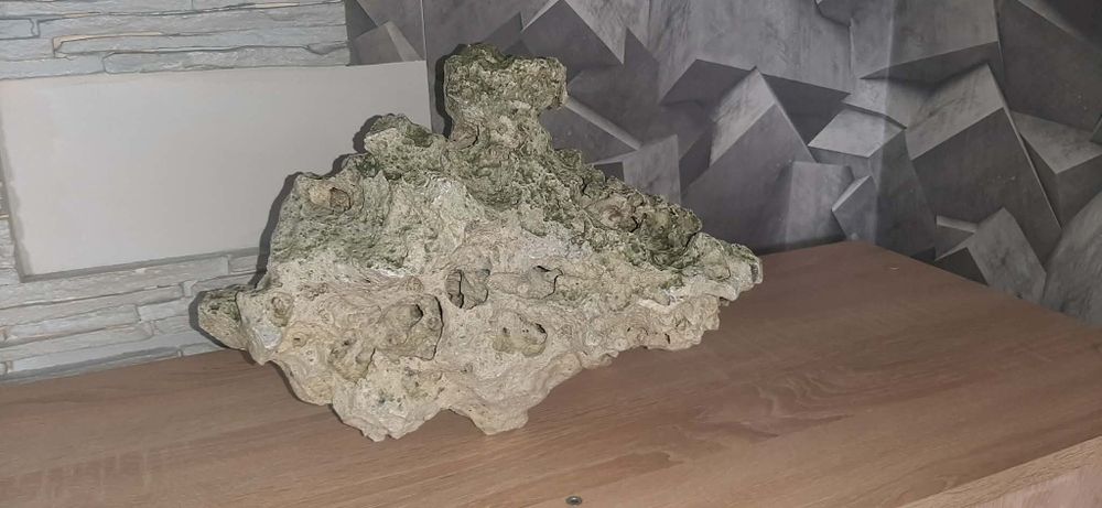 Skała do akwarium z kryjówkami
