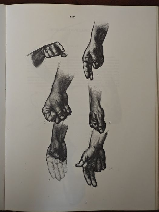 Енё Барчаи - Анатомия для художников ( Будапешт, 1959 год )