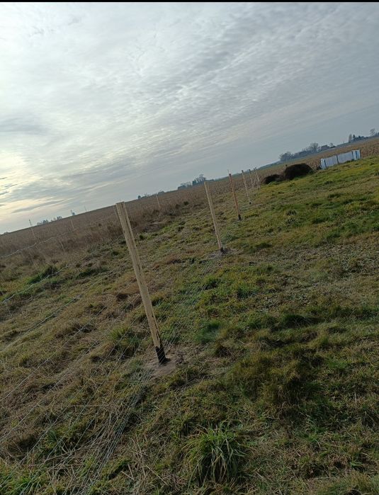 Ogrodzenie leśne tymczasowe budowlane