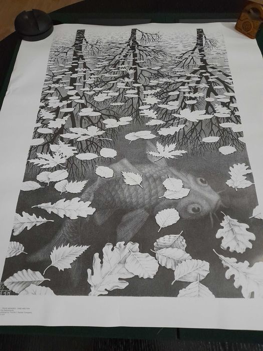 Reprodução em papel do quadro "Three Worlds" de M:C: Escher. Novo ainda na embalagem.