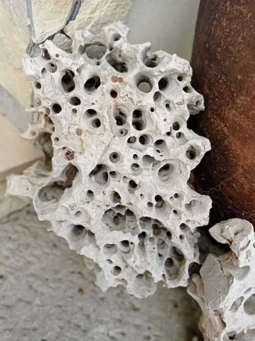 Pedras para decoração de jardim