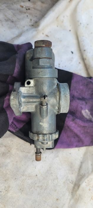 Gaznik panonia pannonia