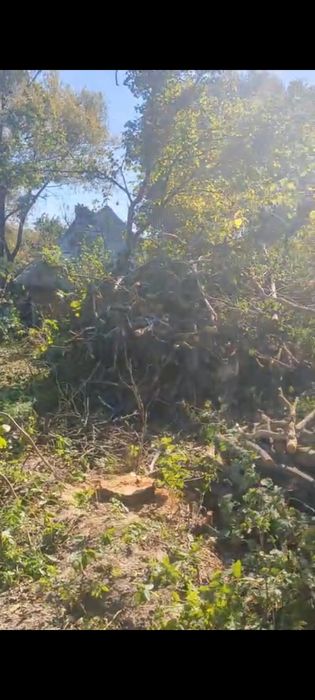 Розчистка земельних ділянок, зрізання дерев,самовивіз