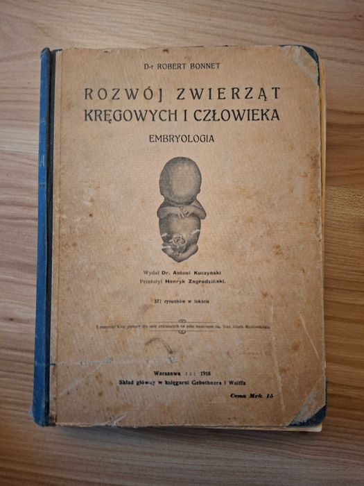 UNIKAT rozwoj zwierzat kregowych i czlowieka.Grzbiet lekko odchodzi.