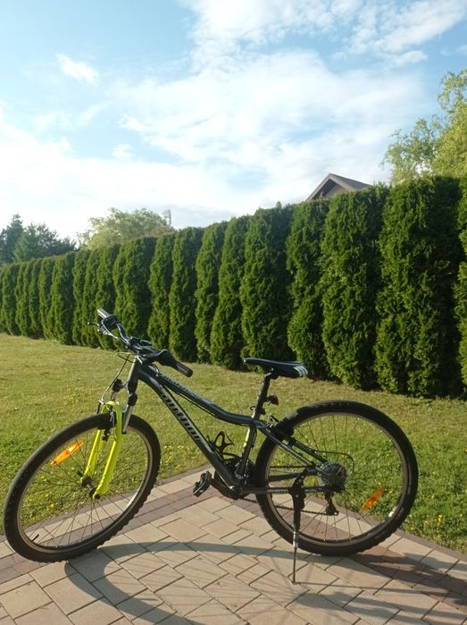 Rower author matrix 26