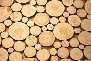 Plastry drewna 3 metry kwadrat., Krążki drewniane,2-10 cm, na ścianę