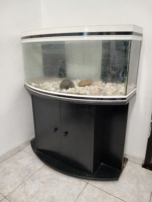 Vendo aquario completo