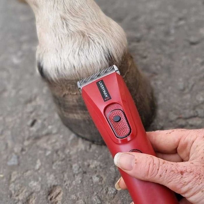 Máquina de Tosquia LiveryMan Nova - Máquina Silenciosa Ideal Cavalos