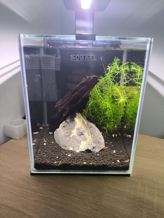 Akwarium kostka ! Aquel !