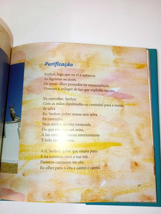 O Poeta não tem Fim - Vinicius de Moraes