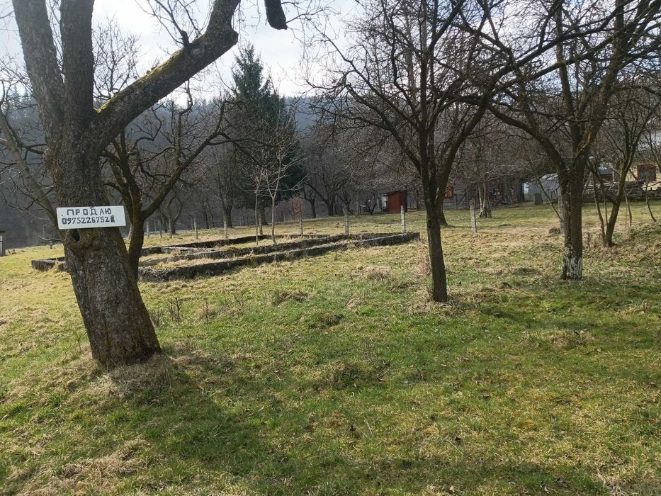 Земельна ділянка