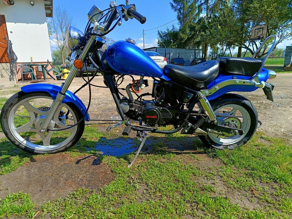 Kinroad XT50 Q łoś